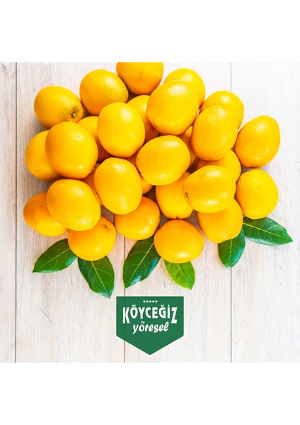 Köyceğiz Portakalı 4 Kg fırsatları