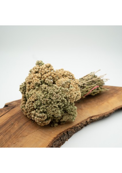 Kekik Çayı 40 G fiyatları