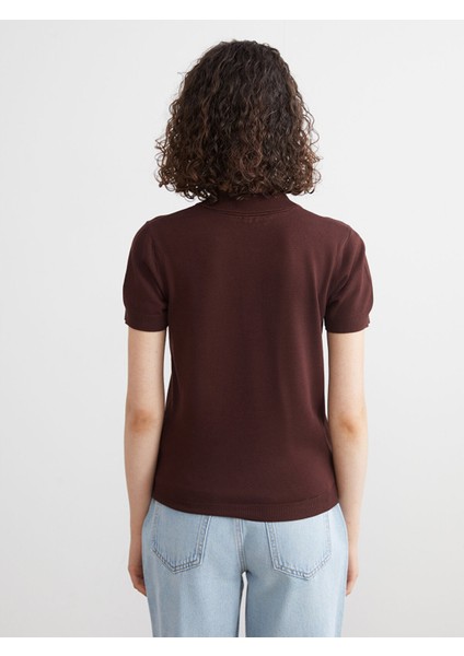 Yeni Sezon Polo Yaka Kadın Triko Kazak fırsatları