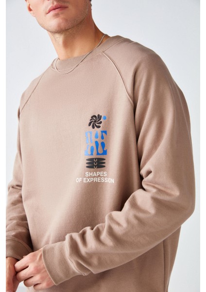 Expressed Erkek Reglan Kol Onu Nakış Ve Baskılı Yumuşacık Kumaşlı Yuvarlak Yakalı Vizon Sweatshirt modelleri