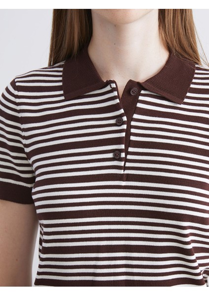 Yeni Sezon Polo Yaka Çizgili Kadın Triko Kazak modelleri