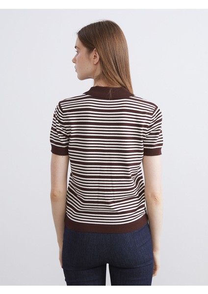 Yeni Sezon Polo Yaka Çizgili Kadın Triko Kazak fırsatları
