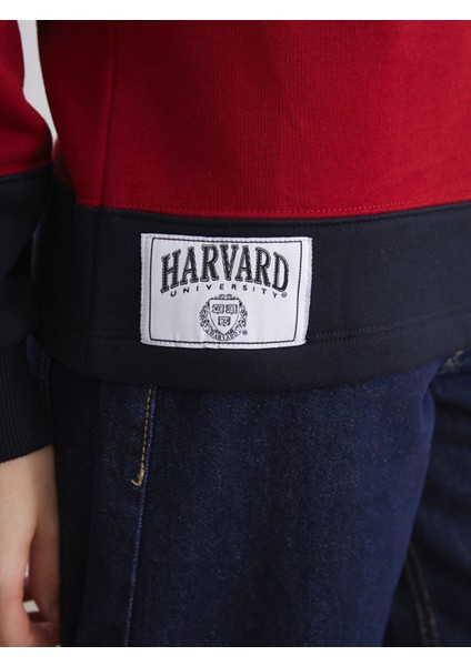 Yeni Sezon Harvard Nakışlı Oversize Kadın Kalın Sweatshirt modelleri