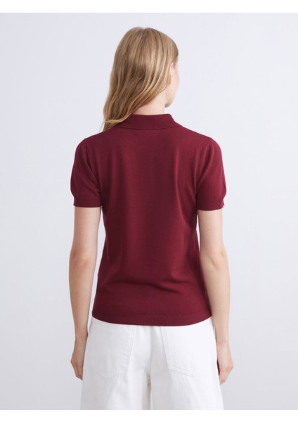 Yeni Sezon Polo Yaka Kadın Triko Kazak fırsatları