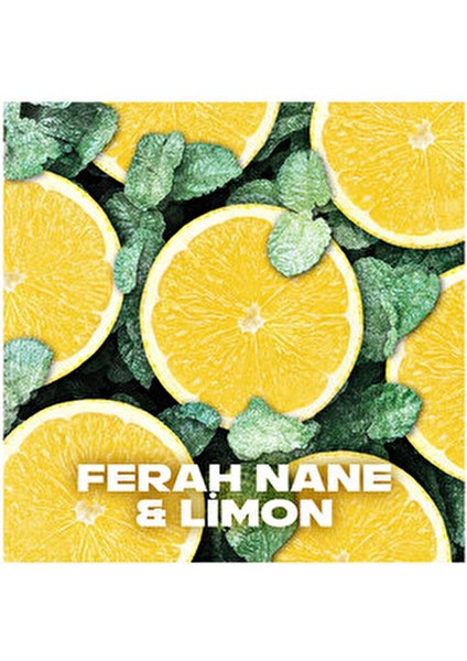 Erkek Deodorant Sprey Ice Chill 150 Ml X3 indirimleri