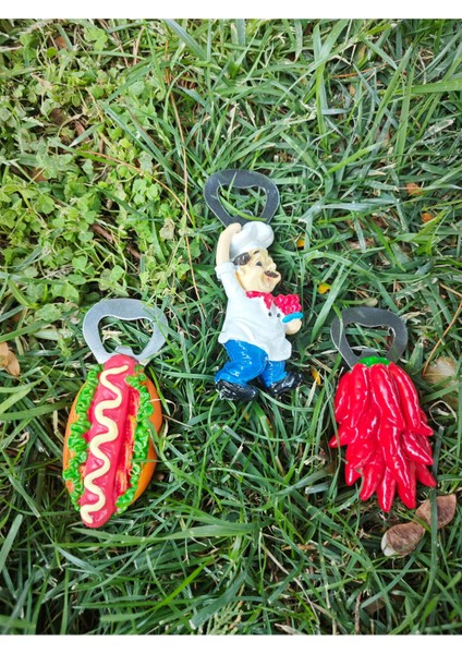 Açacak Seti 3 Lu Magnet fiyatları