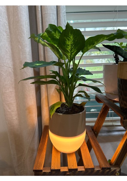 LED Işıklı Saksı – Masaüstü ve Dekoratif Aydınlatma