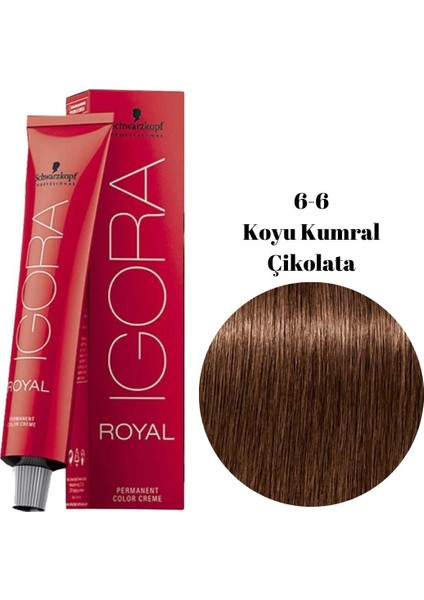 Igora Royal Saç Boyası 6-6 Koyu Kumral Çikolata 60ml fiyatları