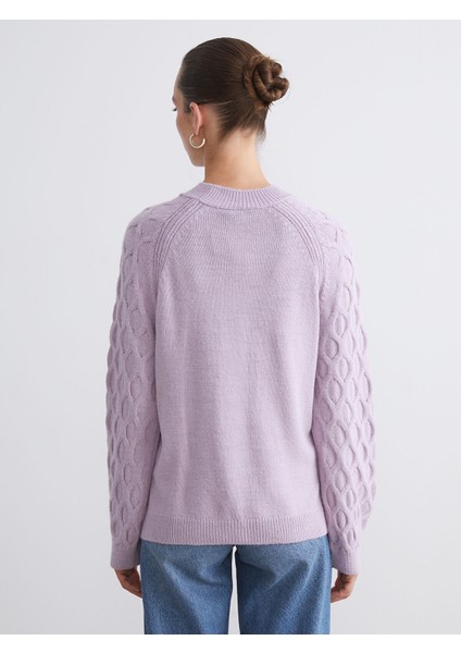 Yeni Sezon Bisiklet Yaka Kendinden Desenli Kadın Triko Kazak fırsatları