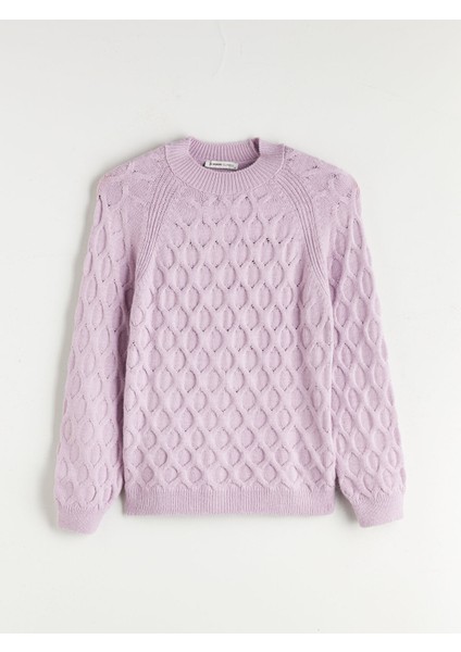 Yeni Sezon Bisiklet Yaka Kendinden Desenli Kadın Triko Kazak indirimleri