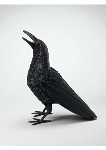 Premium Siyah Karga Figürü Dekoratif Obje Biblo Heykel fırsatları