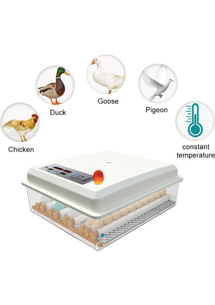 60'lık One Touch Kuluçka Makinesi fiyatları
