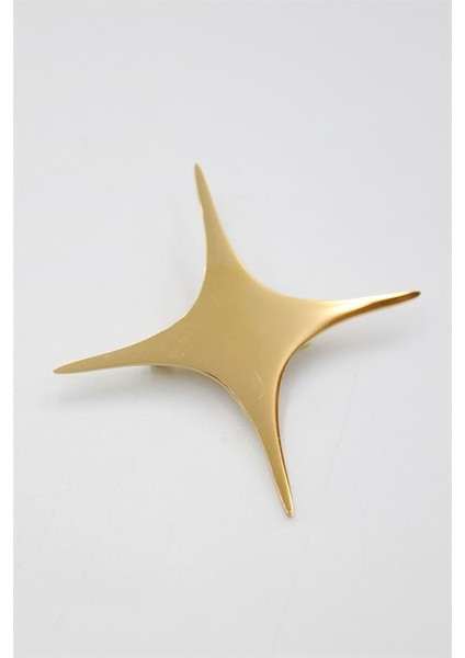 Çelik Yıldız Broş - Altın