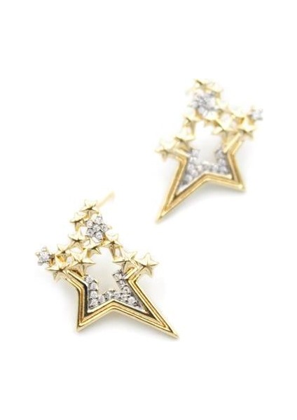 Taşlı Yıldız Küpe - Altın fiyatları