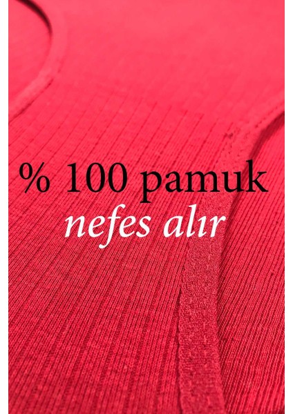 8 Adet Kadın Yüksek Bel Ribana Bato Külot S009 modelleri