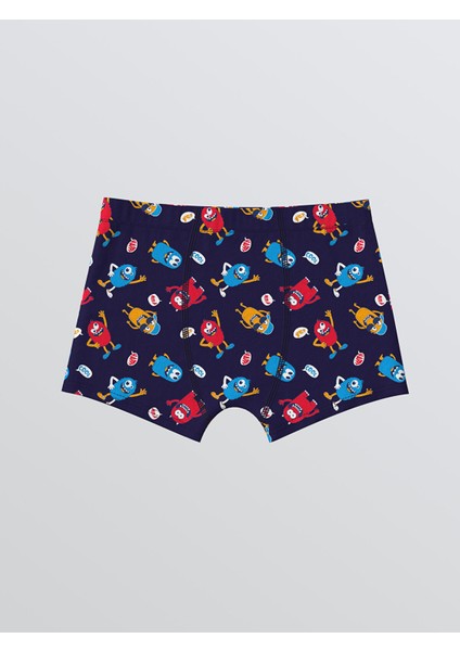 Yeni Sezon Baskılı Erkek Çocuk Boxer 3'lü fiyatları