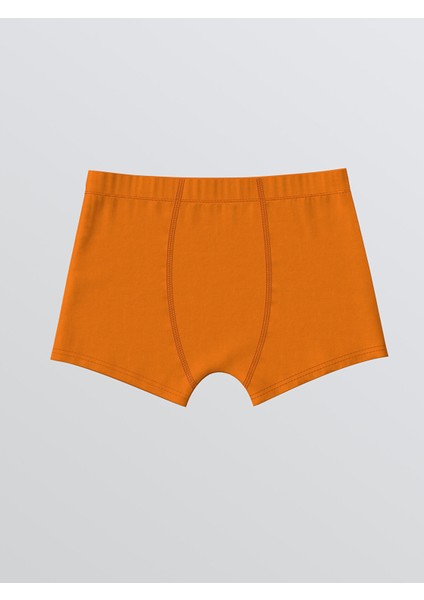 Yeni Sezon Baskılı Erkek Çocuk Boxer 3'lü modelleri