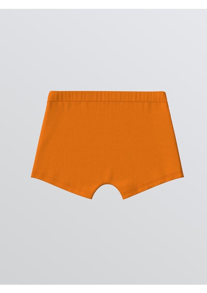 Yeni Sezon Baskılı Erkek Çocuk Boxer 3'lü indirimleri