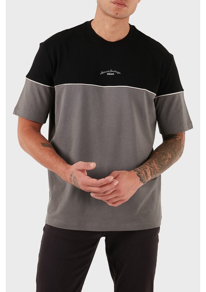 % 100 Pamuk Regular Fit Bisiklet Yaka Renk Bloklu T Shirt Erkek T Shirt XM001034 AF10362 MC225