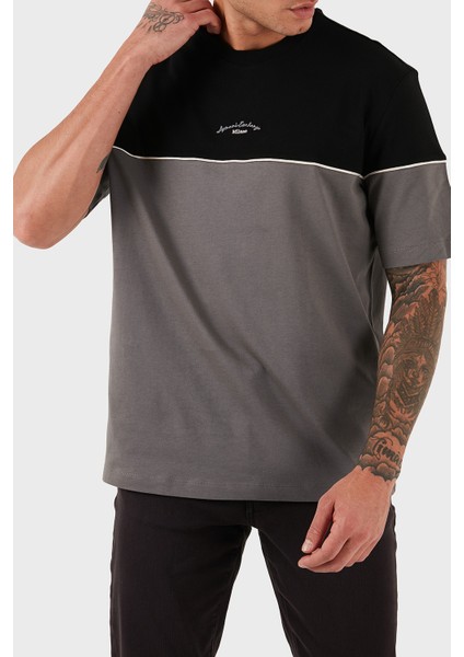 % 100 Pamuk Regular Fit Bisiklet Yaka Renk Bloklu T Shirt Erkek T Shirt XM001034 AF10362 MC225 indirimleri