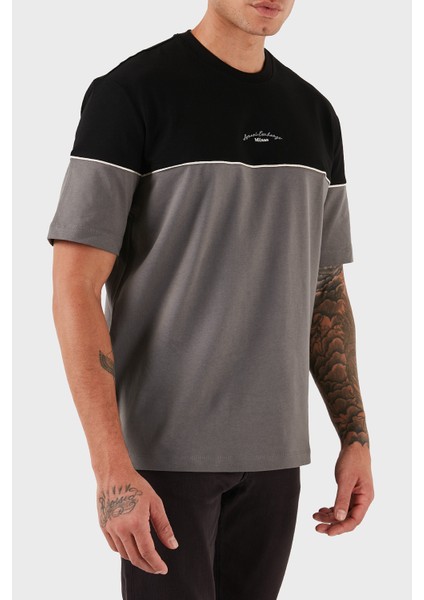 % 100 Pamuk Regular Fit Bisiklet Yaka Renk Bloklu T Shirt Erkek T Shirt XM001034 AF10362 MC225