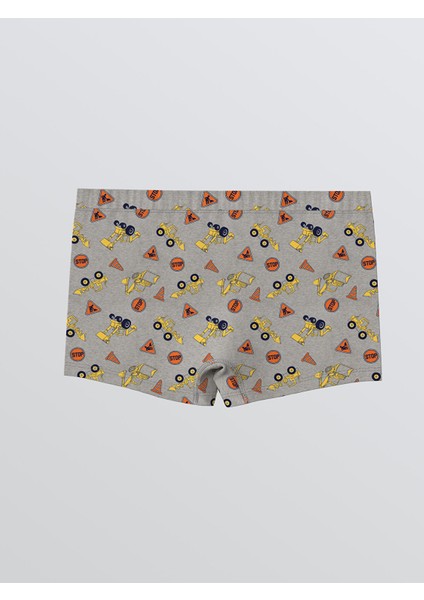 Yeni Sezon Baskılı Erkek Çocuk Boxer 3'lü indirimleri