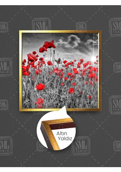 Gün Batımında Siyah Beyaz Gelincik Çiçeği Tarlası Doğa Manzara Çerçeveli Kare Kanvas Tablo