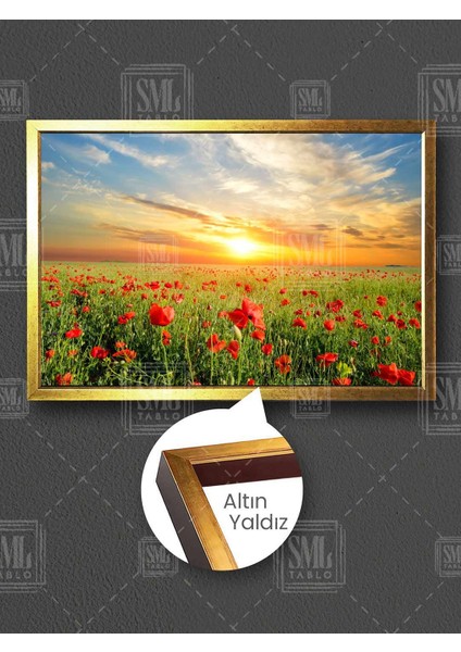 Kırmızı Gelincik Çiçeği Tarlası Gün Batımı Doğa Manzarası Çerçeveli Yatay Kanvas Tablo