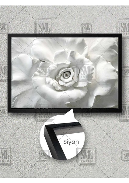 Beyaz Mermer Gül Bitki Doğa Lüx Dekor Çerçeveli Yatay Kanvas Tablo