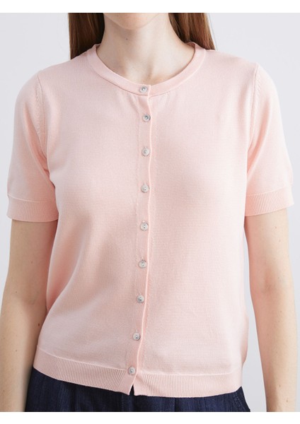 Yeni Sezon Bisiklet Yaka Kadın Triko Hırka modelleri