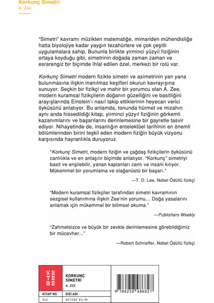 Korkunç Simetri - Anthony Zee fiyatları