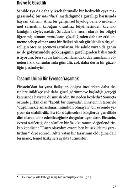 Korkunç Simetri - Anthony Zee