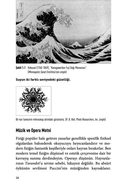 Korkunç Simetri - Anthony Zee