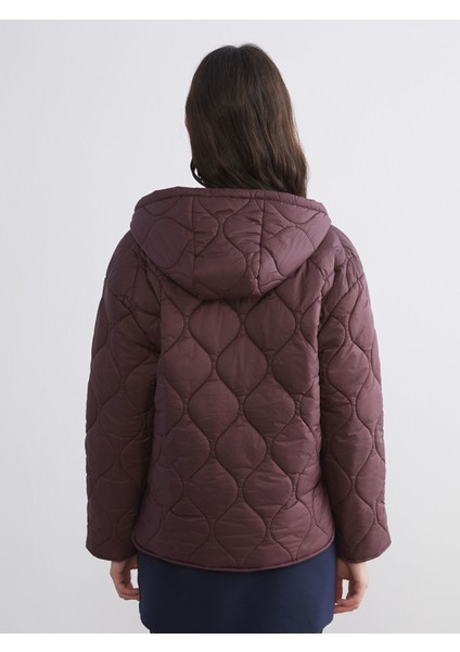 Yeni Sezon Kapüşonlu Kapitone Kadın Şişme Mont indirimleri