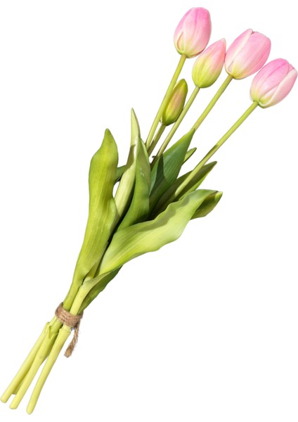 Yapay Islak Pembe Lale Demeti