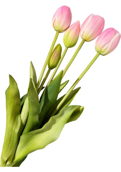 Yapay Islak Pembe Lale Demeti fiyatları