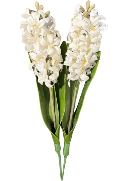 Islak Beyaz Sümbül Demeti 2'li