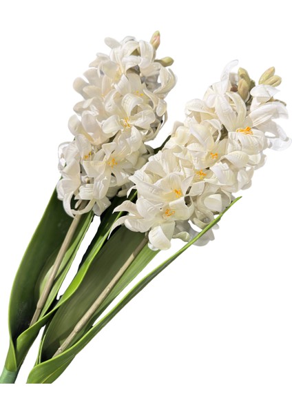 Islak Beyaz Sümbül Demeti 2'li fiyatları