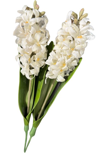 Islak Beyaz Sümbül Demeti 2'li modelleri