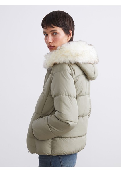 Yeni Sezon Kadın Kapüşonlu Düz Şişme Mont fiyatları