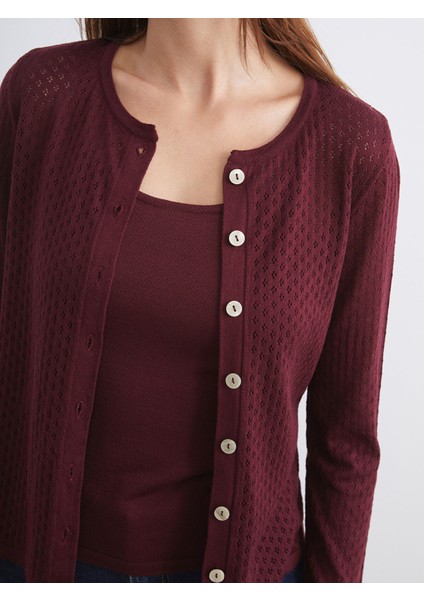 Yeni Sezon Bisiklet Yaka Ajurlu Kadın Triko Hırka modelleri