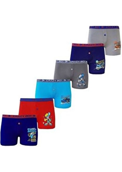 Erkek Çocuk Baskılı Boxer 6'lı fiyatları