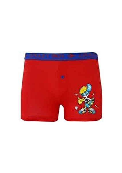 Erkek Çocuk Baskılı Boxer 6'lı indirimleri