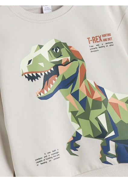 Yeni Sezon Dinozor Figürlü Erkek Çocuk Sweatshirt 2'li indirimleri