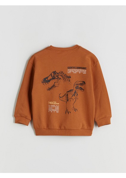 Yeni Sezon Dinozor Figürlü Erkek Çocuk Sweatshirt 2'li fiyatları