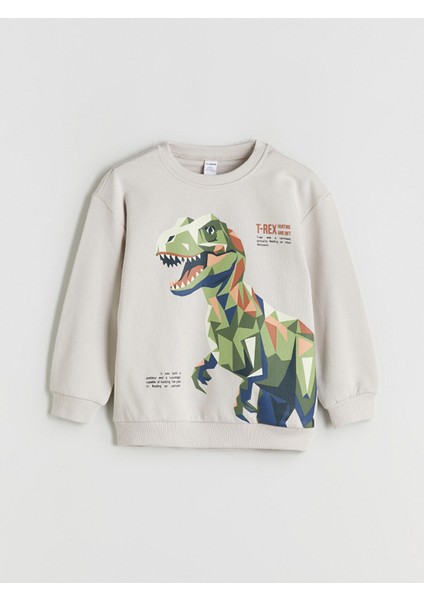 Yeni Sezon Dinozor Figürlü Erkek Çocuk Sweatshirt 2'li modelleri