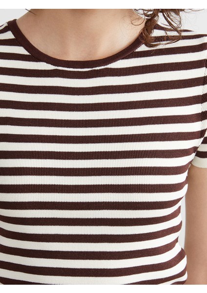 Yeni Sezon Bisiklet Yaka Çizgili Kadın Triko Kazak modelleri