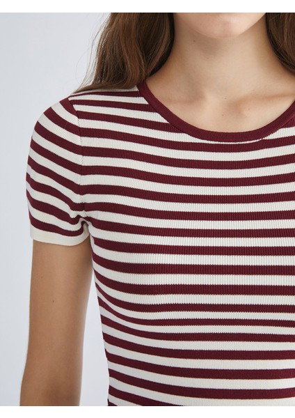 Yeni Sezon Bisiklet Yaka Çizgili Kadın Triko Kazak modelleri