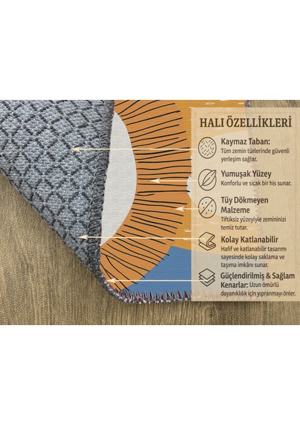 Mavi Zeminli Tatlı Aslan Figürlü Çocuk Odası Halısı, Makinede Yıkanabilir, Kaymaz Tabanlı modelleri