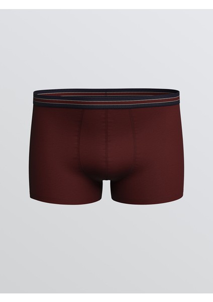 Yeni Sezon Standart Kalıp Pamuklu Esnek Erkek Boxer 3'lü modelleri